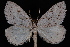 ( - PFC-2007-0385)  @13 [ ] CreativeCommons - Attribution (2010) Unspecified University of British Columbia