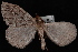  ( - PFC-2007-0393)  @13 [ ] CreativeCommons - Attribution (2010) Unspecified University of British Columbia