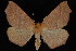  ( - PFC-2007-0414)  @14 [ ] CreativeCommons - Attribution (2010) Unspecified University of British Columbia
