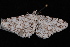  ( - WFBM-07-0020)  @13 [ ] CreativeCommons - Attribution (2010) Unspecified University of British Columbia