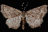  ( - WFBM-07-0068)  @14 [ ] CreativeCommons - Attribution (2010) Unspecified University of British Columbia