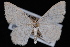  ( - WFBM-07-0076)  @13 [ ] CreativeCommons - Attribution (2010) Unspecified University of British Columbia