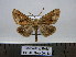  ( - BC AL Geo 00183)  @13 [ ] Copyright (2010) Unspecified Research Collection of Antoine Leveque