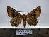  ( - BC AL Geo 00209)  @13 [ ] Copyright (2010) Unspecified Research Collection of Antoine Leveque