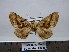  ( - BC AL Geo 00248)  @12 [ ] Copyright (2010) Unspecified Research Collection of Antoine Leveque