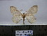  ( - BC AL Geo 00267)  @13 [ ] Copyright (2010) Unspecified Research Collection of Antoine Leveque