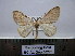  ( - BC AL Geo 00270)  @11 [ ] Copyright (2010) Unspecified Research Collection of Antoine Leveque