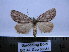  ( - BC AL Geo 00354)  @13 [ ] Copyright (2010) Unspecified Research Collection of Antoine Leveque