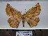  ( - BC AL Geo 00358)  @13 [ ] Copyright (2010) Unspecified Research Collection of Antoine Leveque
