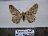  ( - BC AL Geo 00370)  @13 [ ] Copyright (2010) Unspecified Research Collection of Antoine Leveque