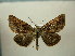  ( - BC AL Geo 00396)  @14 [ ] Copyright (2010) Unspecified Research Collection of Antoine Leveque
