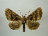  ( - BC AL Geo 00429)  @13 [ ] Copyright (2010) Unspecified Research Collection of Antoine Leveque