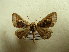  ( - BC AL Geo 00547)  @14 [ ] Copyright (2010) Unspecified Research Collection of Antoine Leveque