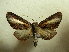  ( - BC AL Geo 00563)  @14 [ ] Copyright (2010) Unspecified Research Collection of Antoine Leveque