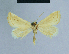  ( - BC ZSM Lep 54694)  @13 [ ] CreativeCommons - Attribution Non-Commercial Share-Alike (2014) Axel Hausmann/Bavarian State Collection of Zoology (ZSM) SNSB, Zoologische Staatssammlung Muenchen