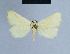  ( - BC ZSM Lep 54700)  @14 [ ] CreativeCommons - Attribution Non-Commercial Share-Alike (2014) Axel Hausmann/Bavarian State Collection of Zoology (ZSM) SNSB, Zoologische Staatssammlung Muenchen