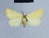  ( - BC ZSM Lep 54702)  @13 [ ] CreativeCommons - Attribution Non-Commercial Share-Alike (2014) Axel Hausmann/Bavarian State Collection of Zoology (ZSM) SNSB, Zoologische Staatssammlung Muenchen