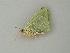  ( - BC ZSM Lep 75278)  @11 [ ] CreativeCommons - Attribution Non-Commercial Share-Alike (2014) Axel Hausmann/Bavarian State Collection of Zoology (ZSM) SNSB, Zoologische Staatssammlung Muenchen