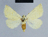  ( - BC ZSM Lep 80862)  @13 [ ] CreativeCommons - Attribution Non-Commercial Share-Alike (2014) Axel Hausmann/Bavarian State Collection of Zoology (ZSM) SNSB, Zoologische Staatssammlung Muenchen
