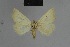  ( - BC ZSM Lep 80863)  @11 [ ] CreativeCommons - Attribution Non-Commercial Share-Alike (2014) Axel Hausmann/Bavarian State Collection of Zoology (ZSM) SNSB, Zoologische Staatssammlung Muenchen