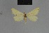  ( - BC ZSM Lep 80972)  @12 [ ] CreativeCommons - Attribution Non-Commercial Share-Alike (2014) Axel Hausmann/Bavarian State Collection of Zoology (ZSM) SNSB, Zoologische Staatssammlung Muenchen