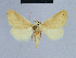  ( - BC ZSM Lep 80973)  @13 [ ] CreativeCommons - Attribution Non-Commercial Share-Alike (2014) Axel Hausmann/Bavarian State Collection of Zoology (ZSM) SNSB, Zoologische Staatssammlung Muenchen