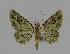  ( - BC EF Alc 00053)  @13 [ ] Copyright (2010) Unspecified Research Collection of Egbert Friedrich