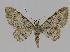  ( - BC EF Alc 00055)  @14 [ ] Copyright (2010) Unspecified Research Collection of Egbert Friedrich