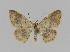  ( - BC EF Alc 00056)  @14 [ ] Copyright (2010) Unspecified Research Collection of Egbert Friedrich