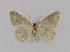  ( - BC EF Alc 00056)  @13 [ ] Copyright (2010) Unspecified Research Collection of Egbert Friedrich