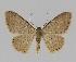  ( - BC EF Alc 00058)  @14 [ ] Copyright (2010) Unspecified Research Collection of Egbert Friedrich