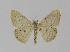  ( - BC EF Alc 00062)  @13 [ ] Copyright (2010) Unspecified Research Collection of Egbert Friedrich