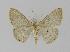  ( - BC EF Alc 00062)  @12 [ ] Copyright (2010) Unspecified Research Collection of Egbert Friedrich