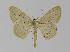  ( - BC EF Alc 00063)  @13 [ ] Copyright (2010) Unspecified Research Collection of Egbert Friedrich