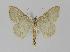  ( - BC EF Alc 00063)  @12 [ ] Copyright (2010) Unspecified Research Collection of Egbert Friedrich