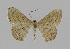  ( - BC EF Alc 00067)  @14 [ ] Copyright (2010) Unspecified Research Collection of Egbert Friedrich