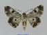  ( - BC EF Alc 00070)  @13 [ ] Copyright (2010) Unspecified Research Collection of Egbert Friedrich