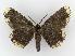  ( - BC EF Alc 00072)  @13 [ ] Copyright (2010) Unspecified Research Collection of Egbert Friedrich