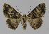  ( - BC EF Alc 00081)  @13 [ ] Copyright (2010) Unspecified Research Collection of Egbert Friedrich