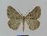  ( - BC EF Alc 00084)  @14 [ ] Copyright (2010) Unspecified Research Collection of Egbert Friedrich