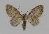  ( - BC EF Alc 00089)  @14 [ ] Copyright (2010) Unspecified Research Collection of Egbert Friedrich