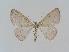  ( - BC EF Alc 00090)  @14 [ ] Copyright (2010) Unspecified Research Collection of Egbert Friedrich