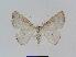  ( - BC EF Alc 00090)  @13 [ ] Copyright (2010) Unspecified Research Collection of Egbert Friedrich