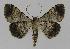  ( - BC EF Alc 00113)  @13 [ ] Copyright (2010) Unspecified Research Collection of Egbert Friedrich