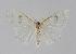  ( - BC EF Alc 00126)  @13 [ ] Copyright (2010) Unspecified Research Collection of Egbert Friedrich