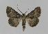  ( - BC EF Alc 00133)  @13 [ ] Copyright (2010) Unspecified Research Collection of Egbert Friedrich