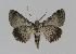  ( - BC EF Alc 00133)  @12 [ ] Copyright (2010) Unspecified Research Collection of Egbert Friedrich