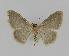  ( - BC EF Alc 00137)  @12 [ ] Copyright (2010) Unspecified Research Collection of Egbert Friedrich