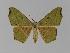  ( - BC EF Alc 00167)  @14 [ ] Copyright (2010) Unspecified Research Collection of Egbert Friedrich