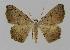  ( - BC EF Alc 00179)  @13 [ ] Copyright (2010) Unspecified Research Collection of Egbert Friedrich
